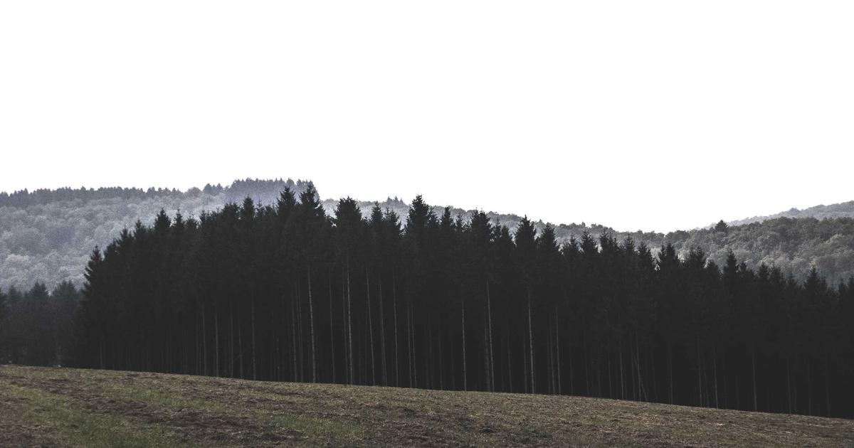 CI/CD pentru .NET MAUI cu GitHub Actions: Build, Semnare și Deploy Automat