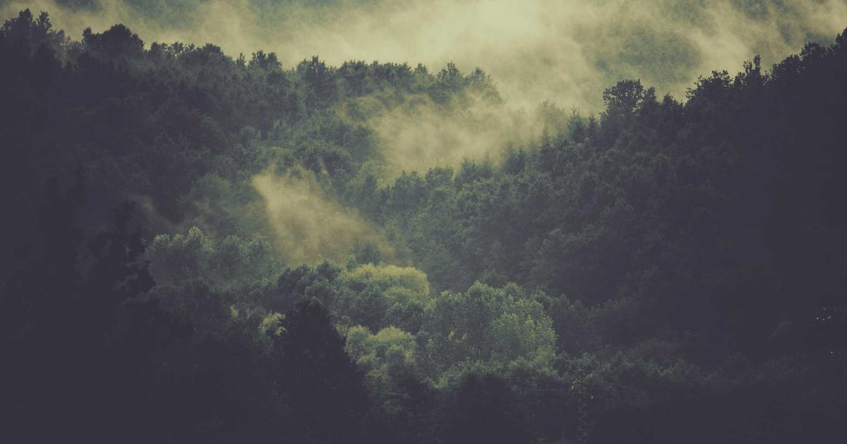Βελτιστοποίηση Απόδοσης .NET MAUI: Compiled Bindings, NativeAOT και Πρακτικές Τεχνικές