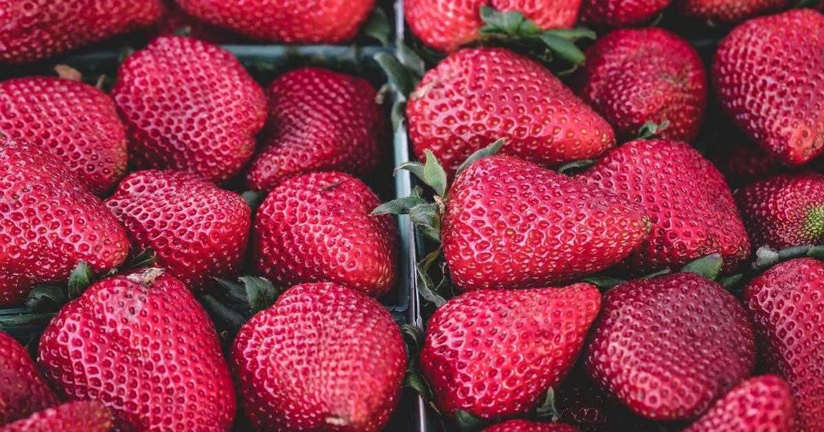 Миграция с Xamarin.Forms на .NET MAUI: полное руководство на 2026 год