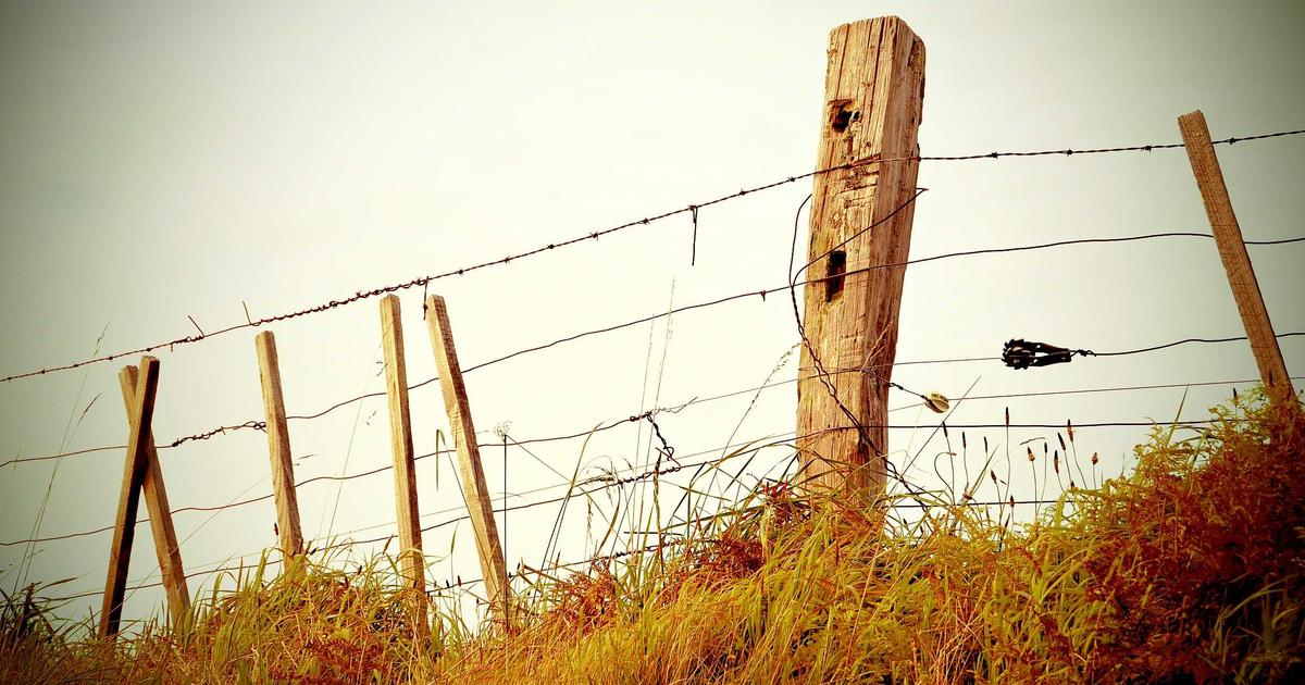 .NET MAUI Sicherheit: OAuth 2.0, SecureStorage, Certificate Pinning und DSGVO im Praxisleitfaden