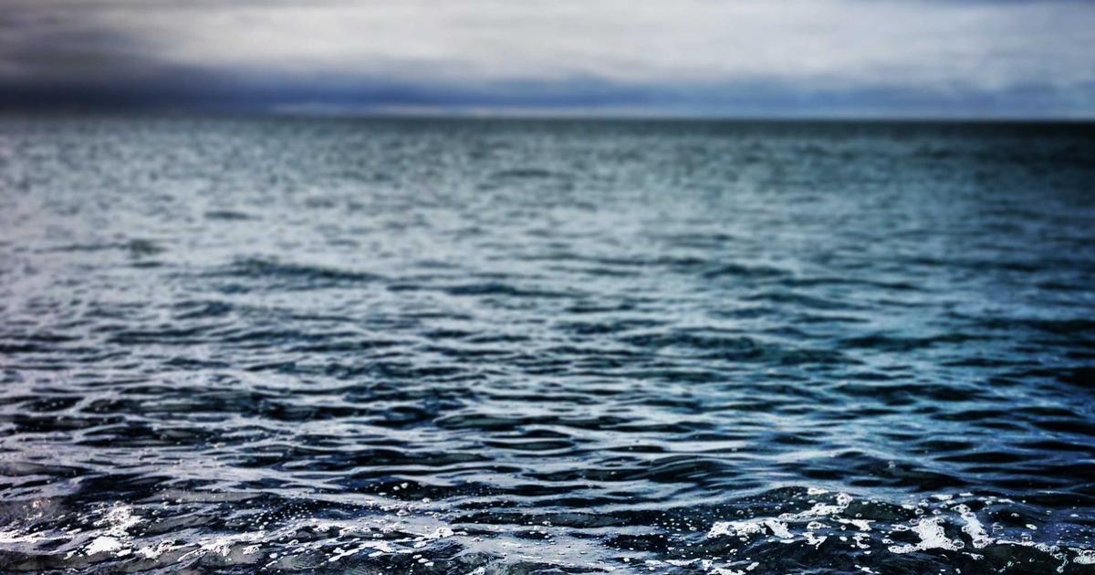 Mastering Navigation and Dependency Injection in .NET MAUI: Shell Routing, MVVM, and Service Lifetimes