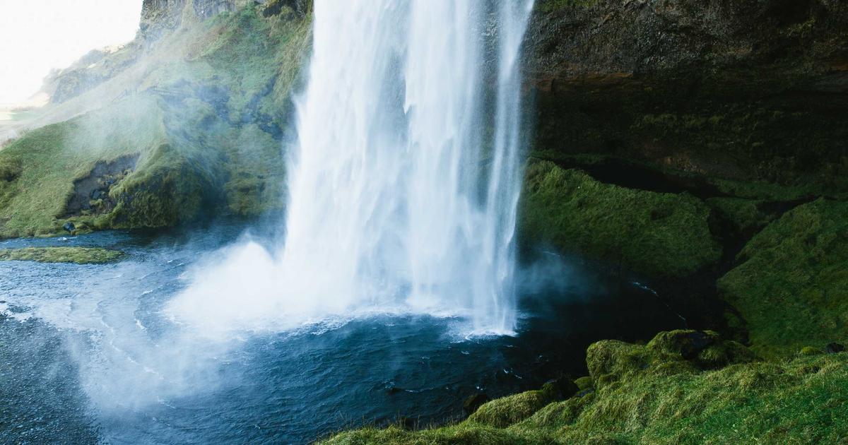 Securing .NET MAUI Apps: Authentication, Token Management, and Biometrics